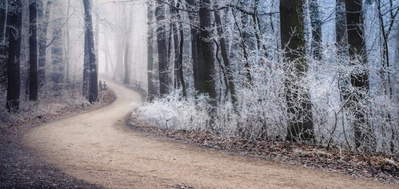 Psychology of decision making — the difference between people who can decide and people who can't