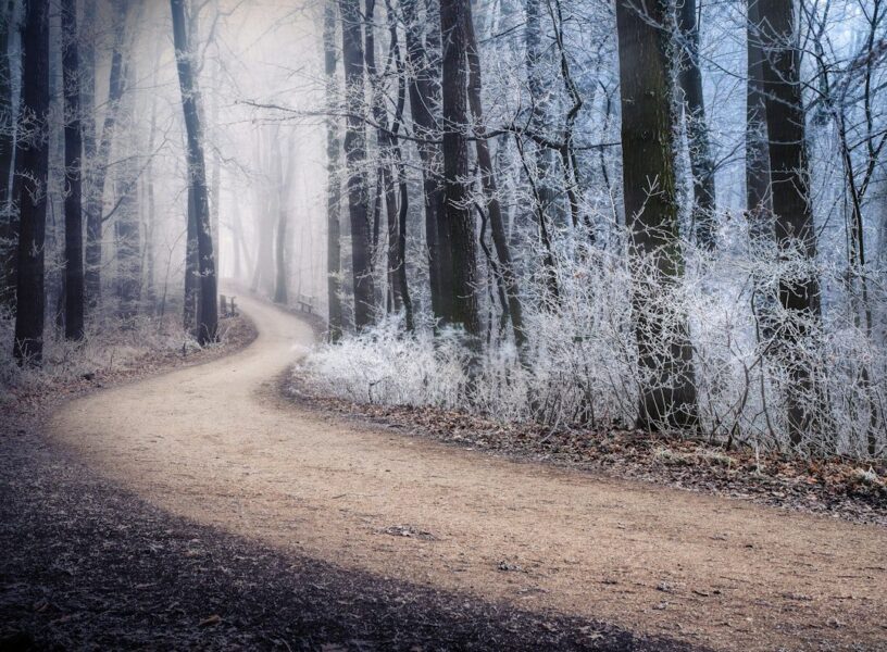 Psychology of decision making Psychology of decision making — the difference between people who can decide and people who can't